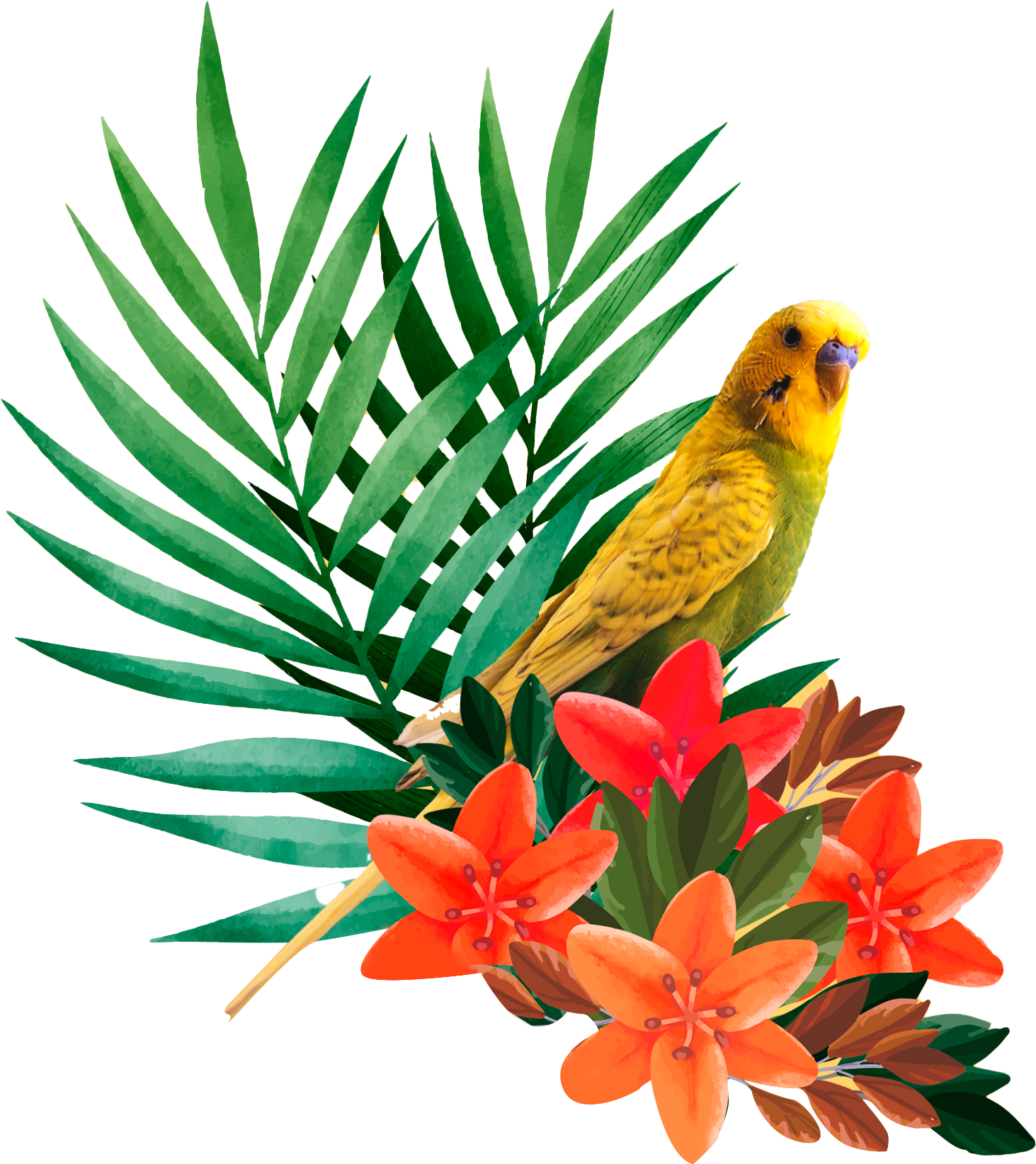 Descrição do SVG